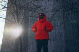 Goldwin_sebastian-stiphout_2201 