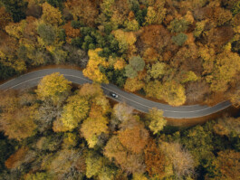 aerial-top-down-birds-eye-view-indian-summer-curvy-road-beautiful-fall-colors-s-bend 