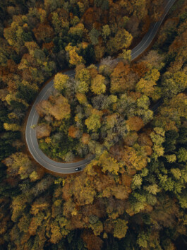 aerial-top-down-birds-eye-view-indian-summer-hairpin-corner-road-beautiful-fall-colors 