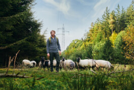 man-shepherd-herding-sheep-eletrical-power-mast-green-forest-bavaria-bayern-02